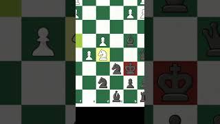 CHECK CHECK CHECK CHECKMATE!| Chess Memes #shorts #chess #chessmemes