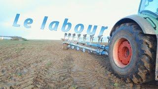 Le labour