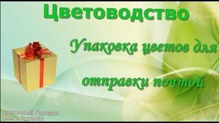 Упаковка цветов для отправки почтой. Цветочный городок Ольги Косенко