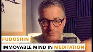 "Fudoshin" - Immovable Mind In Meditation