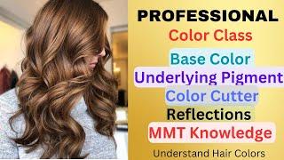 Professional Color Class || Underlying pigment || Color Cutter || Color Reflections ||Etc Salonfact