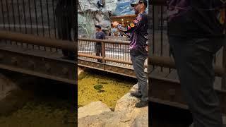 EPIC Fishing INSIDE Bass Pro Shops!!