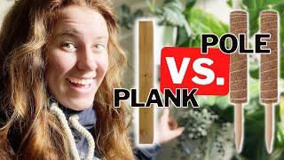 Is A Plank Or Pole Best For Staking Indoor Plants? The Answer Will Suprise You…