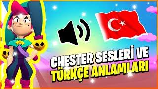 Bu Savaşçı Youtuber Olabilir  Chester Sesleri ve Türkçe Anlamları - Brawl Stars