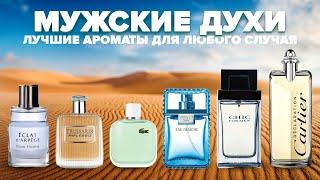 Top 6 men's perfumes of 2024 Best fragrances for any occasion