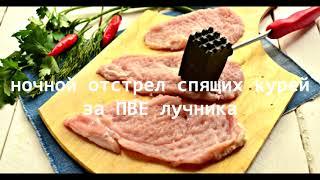 [BSFG] Странник ч.1 - ПВЕ отстрел спящих кур