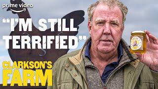 How a Bee Ruined Jeremy Clarkson's Day | Behind The Scenes Clarkson's Farm | The Grand Tour