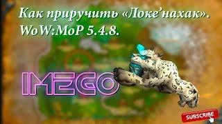 Как и где приручить Духа зверя "Локе'нахак" WoW 5.4.8