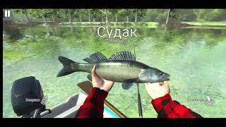 Прохождение игри Ultimate Fishing Simulator   поймал карпа на 20 кг#