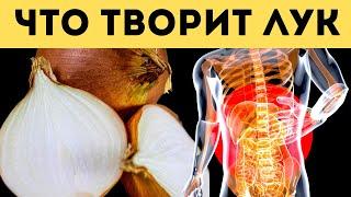 ЧТО ТВОРИТ ЛУК С ОРГАНИЗМОМ? ОШИБКИ при использовании ЛУКА. #лук #пп#пользаивред