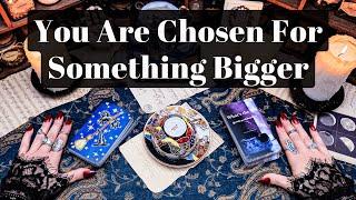 YOU ARE BEING CHOSEN FOR SOMETHING BIGGER YOUR CALLING CAN’T BE IGNORED ANYMORE YOUR TIME IS NOW