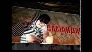 Samandar cvety