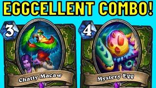 Mystery Egg Was BUFFED to 4 Mana?! Chatty Macaw OTK!