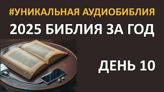 День 10. Библия за год. Библейский ультрамарафон портала «Иисус» 2025