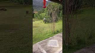 Colombia! Landscaping day