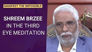 Shreem Brzee In The Third Eye Meditation: Manifest The Impossible