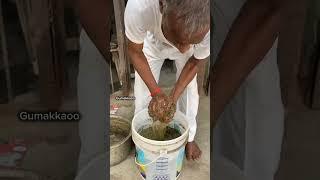 Visv ki purani ausadi bhang kaise banai jati hai #making #shortvideo