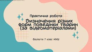 Біологія 7 клас НУШ  Практична робота Визначення різних форм поведінки тварин за відеоматеріалам