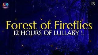 Forest of Fireflies Light - Lullaby for babies to go to sleep - Lullaby songs #19