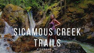 Sicamous Creek Trails | Sicamous, BC | Shuswap Waterfalls | Shuswap Hiking Trail | Vlog #68