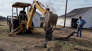 John Deere 110 Backhoe TAKES DOWN Trees with EASE, Christy's Dad Joins Project