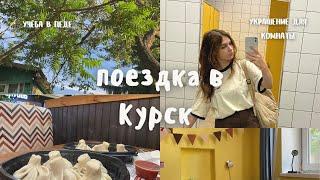 ₊ 𓍢 ️ влог: поездка в курск и болтовняִ