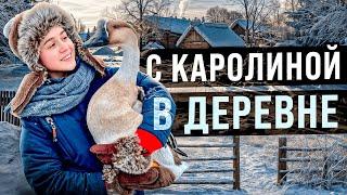 Гусь Гриша на первом канале | Видели Видео эфир от 28.03.2020