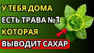 Всего ОДИН раз в день, чтобы УДАЛИТЬ ЛИШНИЙ САХАР и БОРОТЬСЯ с ДИАБЕТОМ!