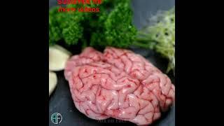 8 Amazing Facts About Humen Brain