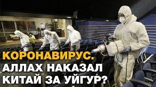 Правда, что Аллах наказал Китай за уйгур? Спросите имама