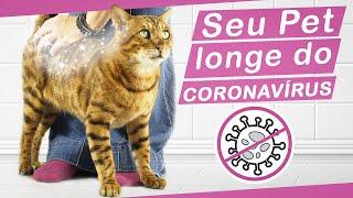 1ª Linha de Álcool Gel para pets e tutores