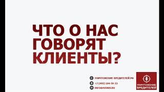 Уничтожение вредителей - Профессиональная дезинфекция, дезинсекция, дератизация