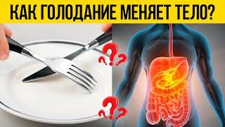 Как Голодание меняет тело? Влияние на здоровье