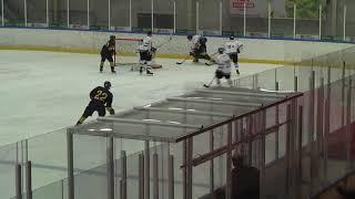 Goalie: Filip Sund. Game: Wings-Nyköping