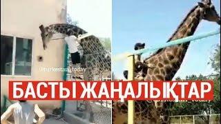 Басты жаңалықтар. 29.07.2019 күнгі шығарылым / Новости Казахстана