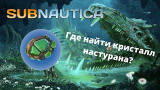 Где найти КРИСТАЛЛ НАСТУРАНА в игре Subnautica?