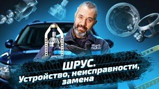 Замена шруса: всё, что важно знать о ремонте автомобиля. ЕвроАвто