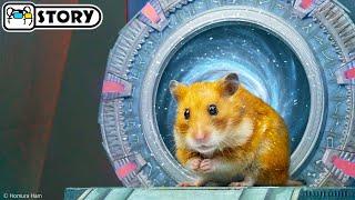  Hamster Escapes the StarGate - Atlantis maze for Pets in real life  Homura Ham Pets