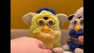 kiwi Furby and millennium Furby￼