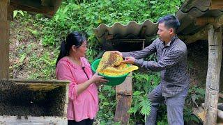 TU eagerly prepares for giving birth. DAU harvested a lot of honey to soak as flu medicine