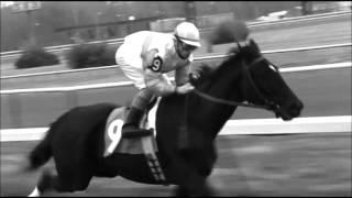 Ruffian the first race (music video)