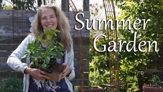 Prepping and Planting Our Summer Garden!#gardenadvice #ediblegarden