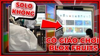 Bản Tin Roblox - Cô Giáo 30M Bounty Blox Fruits Chấp Mọi Kèo Solo...