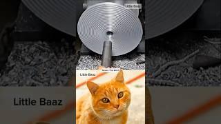DAY-78 AURA CAT FUNNY  #trending #cat #memes #funny