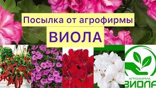 Посылка от агрофирмы ВИОЛА!