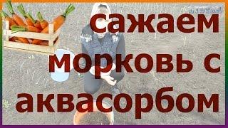 НОВИНКА! Сажаем морковь с аквасорбом и удобряем. Посадка выращивание уход моркови