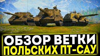  ОБЗОР ВЕТКИ ПОЛЬСКИХ ПТ-САУ В ИГРЕ МИР ТАНКОВ