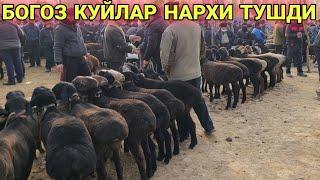 КУМТЕПА КУЙ БОЗОРИ НАРХЛАР ТУШДИ