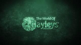 Industrial Solutions Exposé 2020 powered by Hayleys Aventura