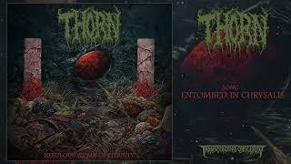 THORN (US) - Entombed In Chrysalis (Death Metal) Transcending Obscurity Records
